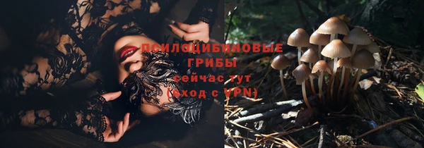 первитин Белоозёрский